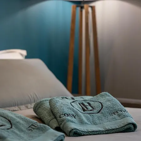Le Cosy Idéal Pro Ou Couple à 2 Min à Pied De La Appartement *